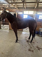 03/30/2026 Mixed Sale - 3:00 P.M. ET